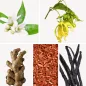 Preview: Duftnoten: Orangenblüte, Ylang-Ylang, Ingwer, Vanille, Sandelholz Preview: Duftnoten: Orangenblüte, Ylang-Ylang, Ingwer, Vanille, Sandelholz